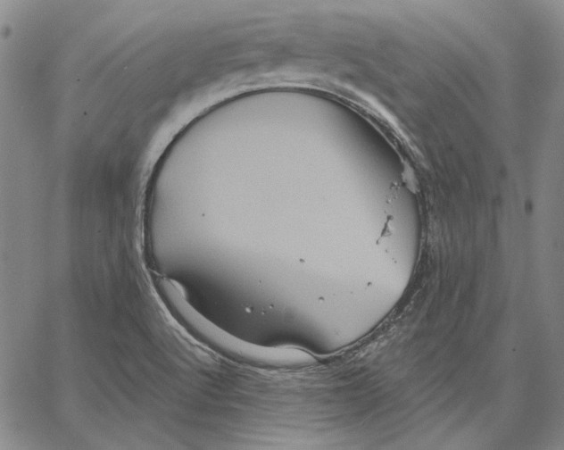 X0000066531512200604071604