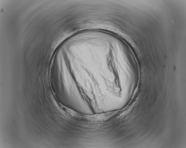 X0000066531513200604071604