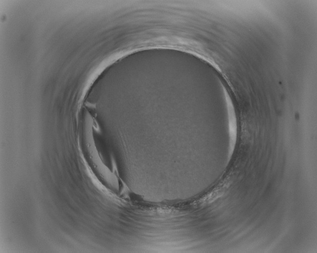 X0000066531515200604071604