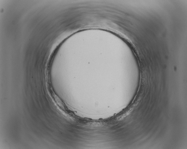 X0000066531517200604071604