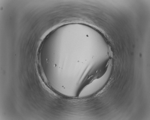 X0000066531518200604071604