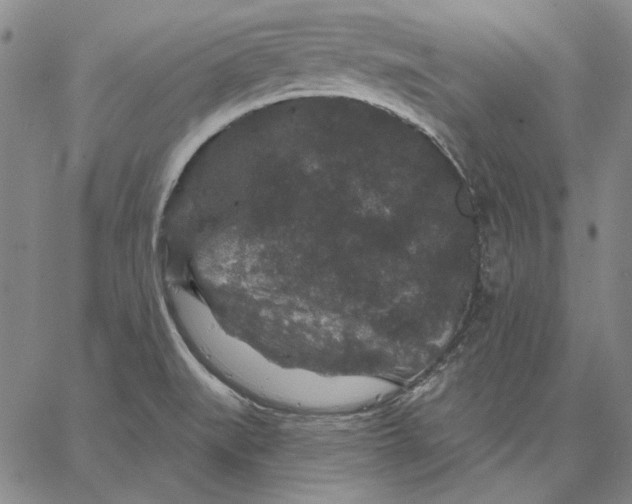 X0000066531519200604071604