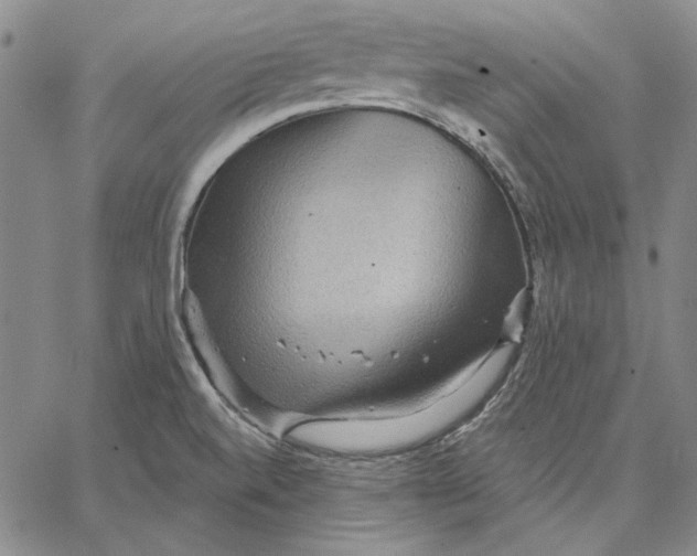 X0000066531520200604071604