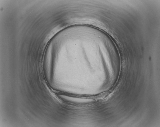 X0000066531521200604071604