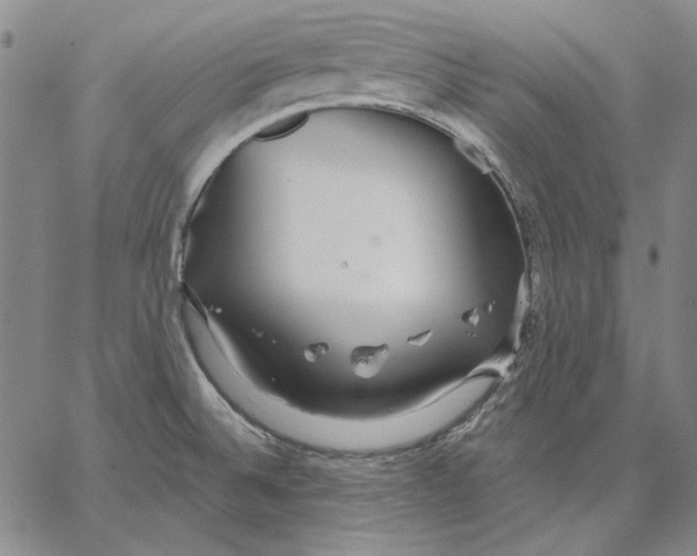 X0000066531524200604071604