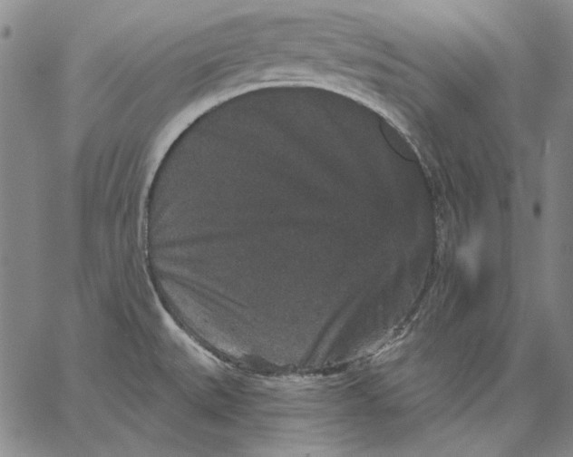 X0000066531527200604071604