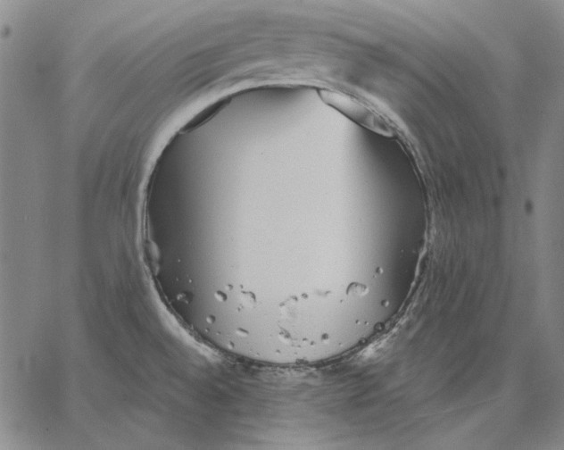 X0000066531528200604071604