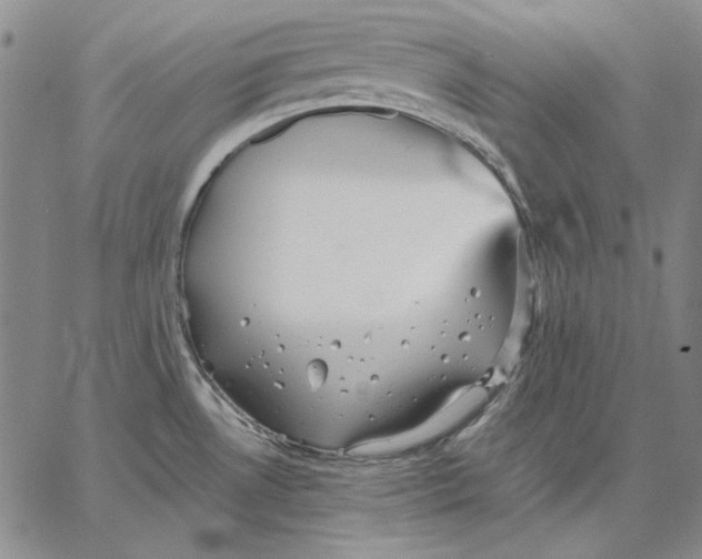 X0000066531530200604071604