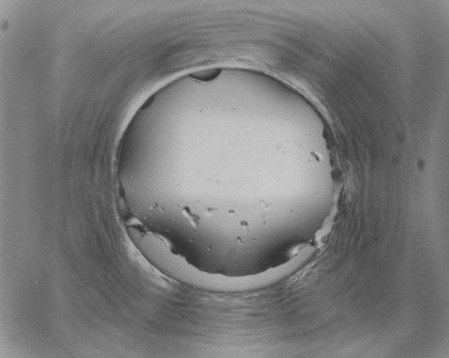 X0000066531532200604071604