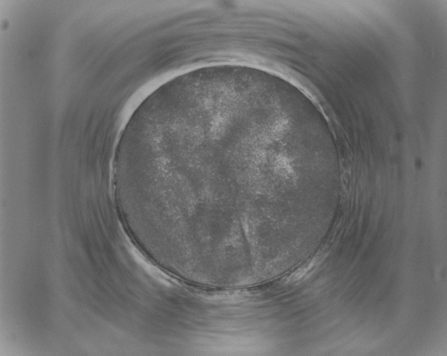 X0000066531535200604071604