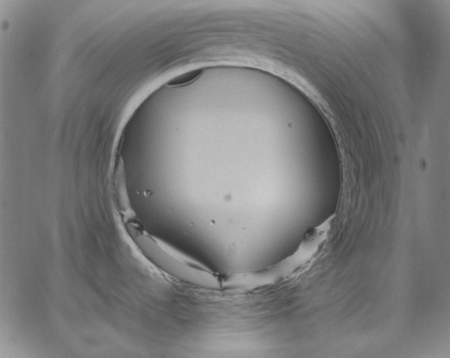 X0000066531536200604071604