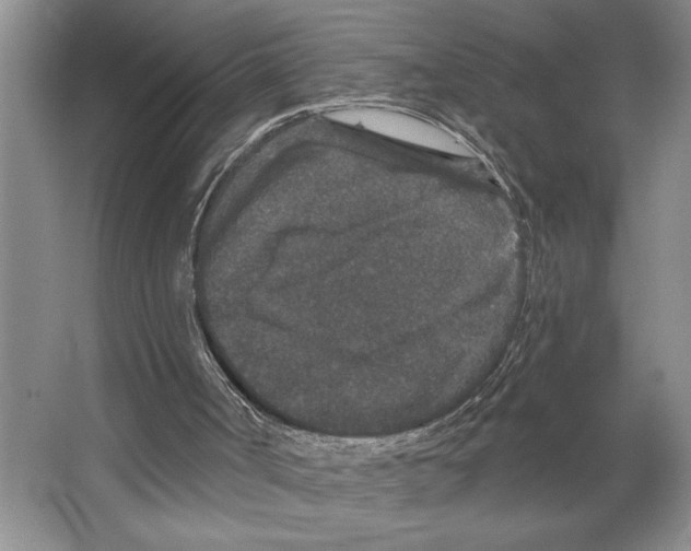 X0000066530002200604141852