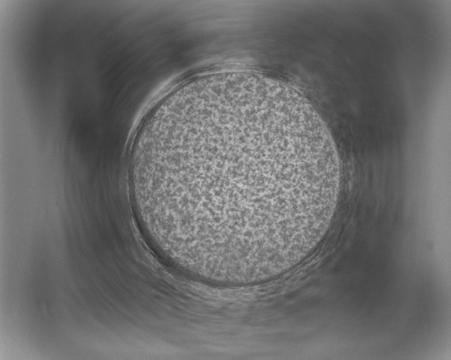 X0000066530004200604141851