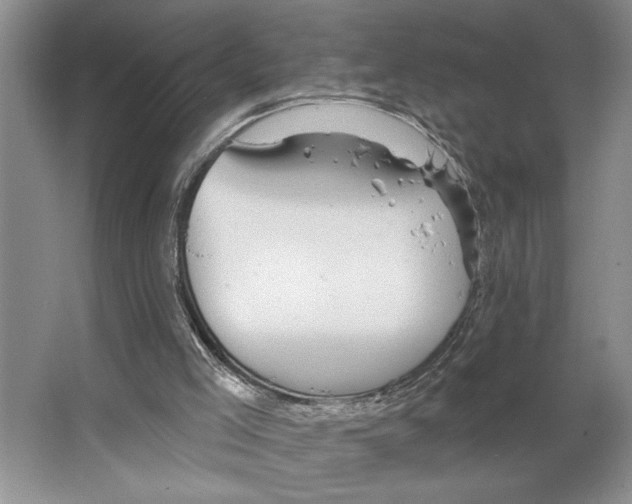 X0000066530005200604141851