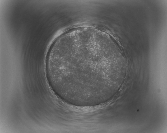 X0000066530006200604141851