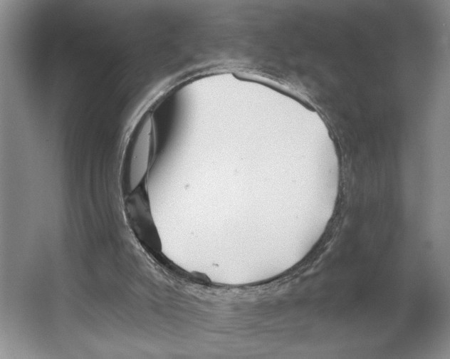 X0000066530007200604141851