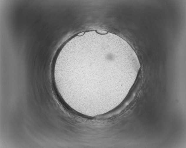 X0000066530008200604141851