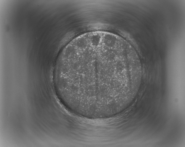 X0000066530010200604141851