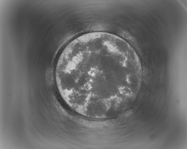 X0000066530012200604141851