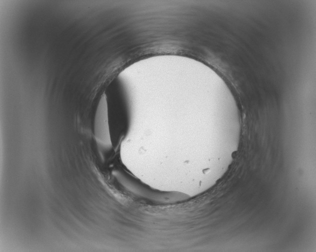 X0000066530013200604141851