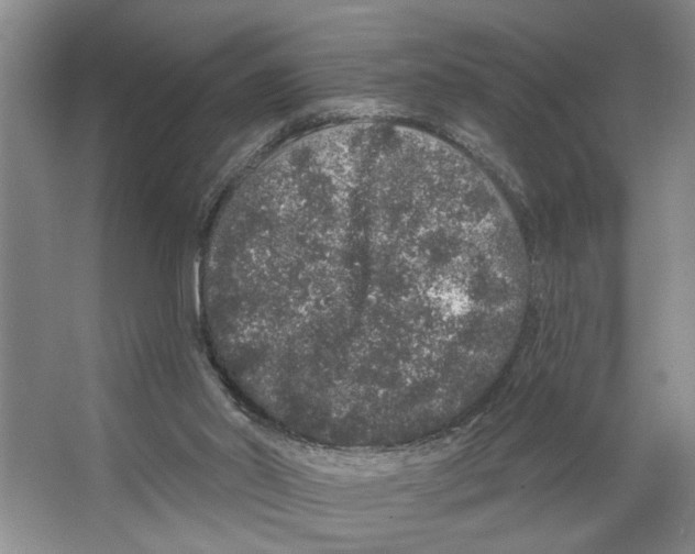 X0000066530014200604141851