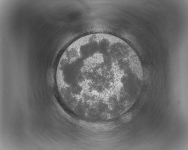 X0000066530016200604141851