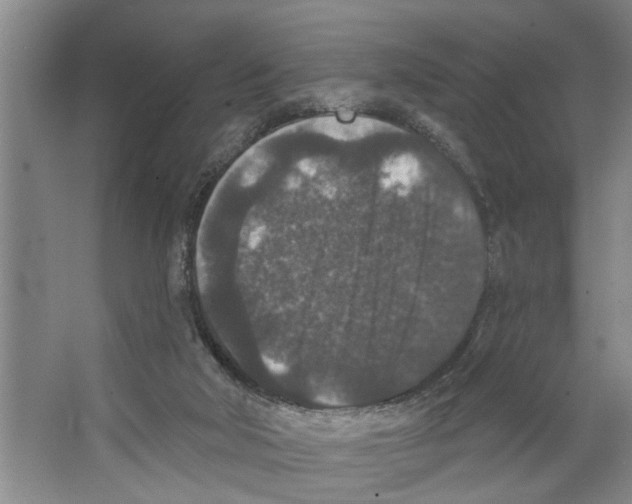 X0000066530018200604141851