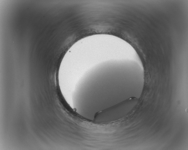 X0000066530019200604141851