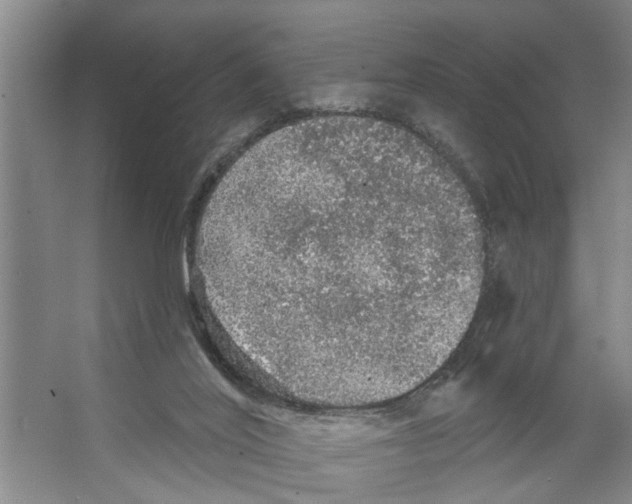 X0000066530020200604141851