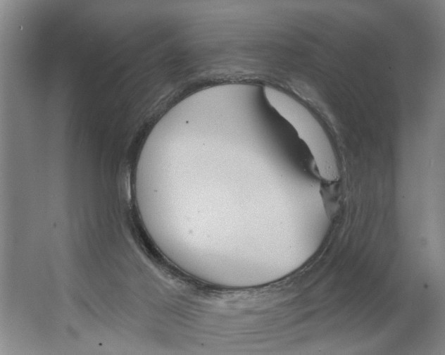 X0000066530021200604141851