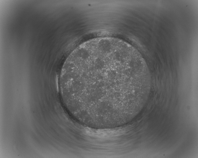 X0000066530022200604141851