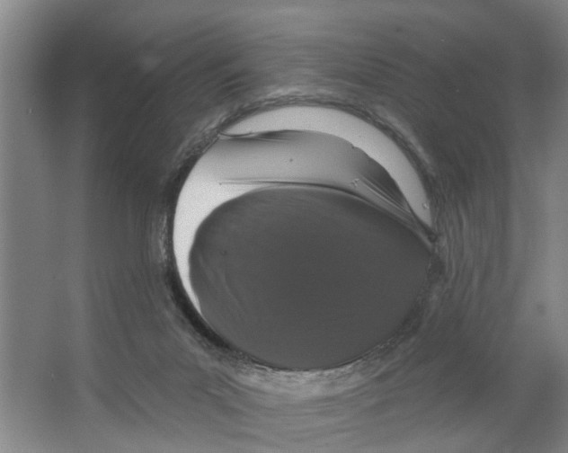 X0000066530023200604141851