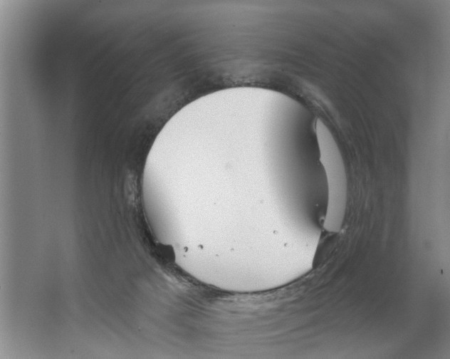 X0000066530025200604141851