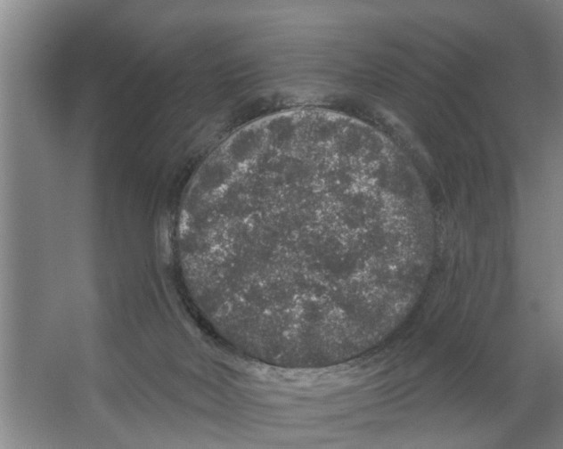 X0000066530026200604141851