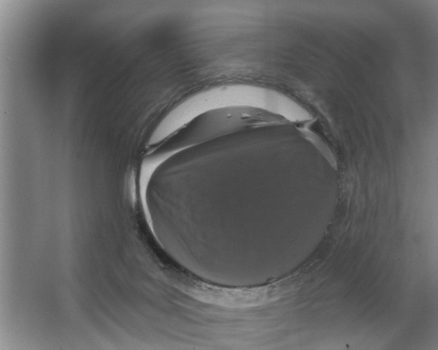 X0000066530027200604141851