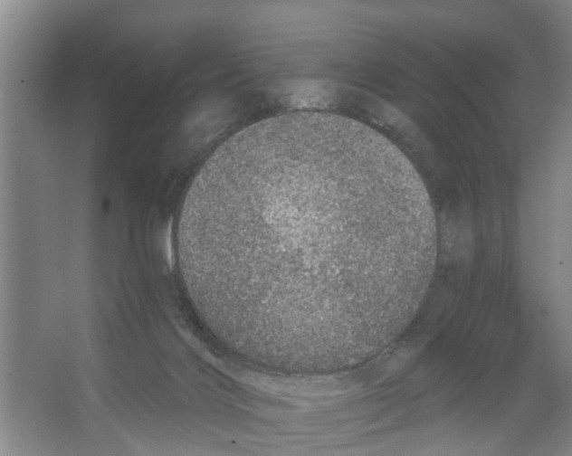 X0000066530028200604141851