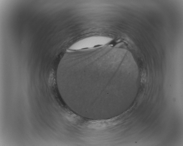 X0000066530029200604141851