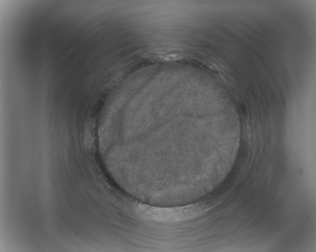 X0000066530030200604141851