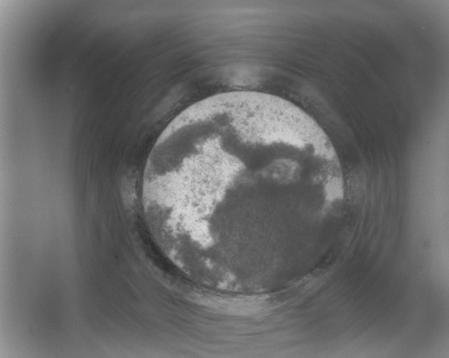 X0000066530032200604141851