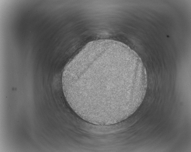 X0000066530034200604141851