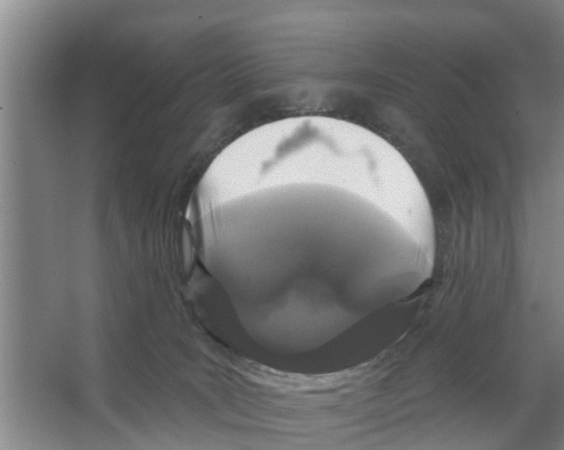 X0000066530035200604141851