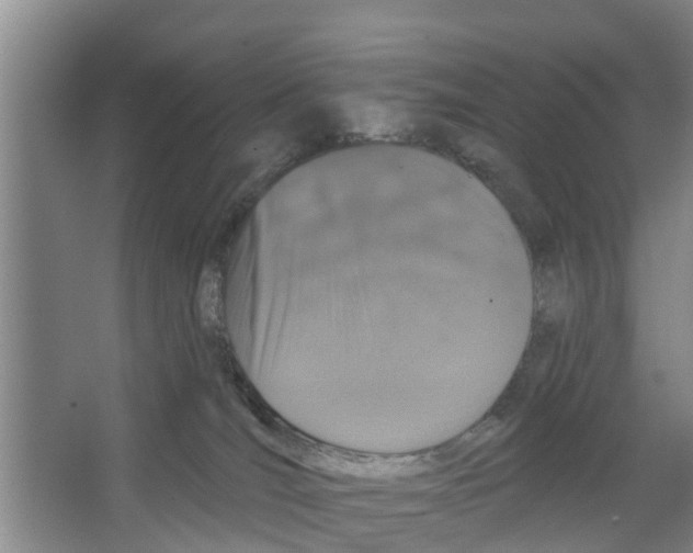 X0000066530036200604141851