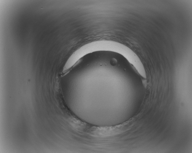 X0000066530037200604141851