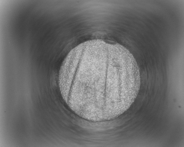 X0000066530038200604141851