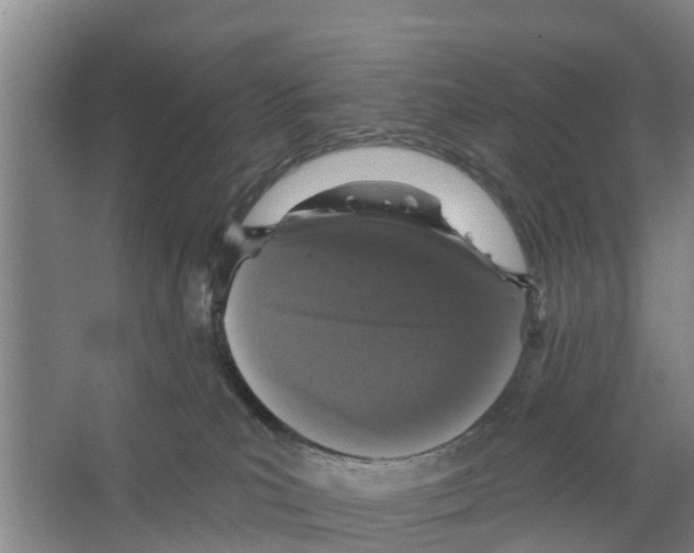 X0000066530039200604141851