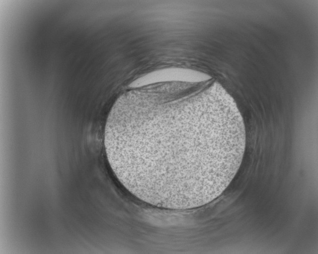 X0000066530040200604141851