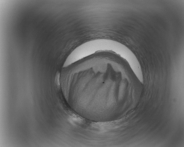 X0000066530041200604141851