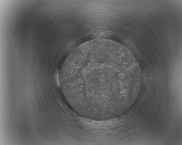 X0000066530042200604141851