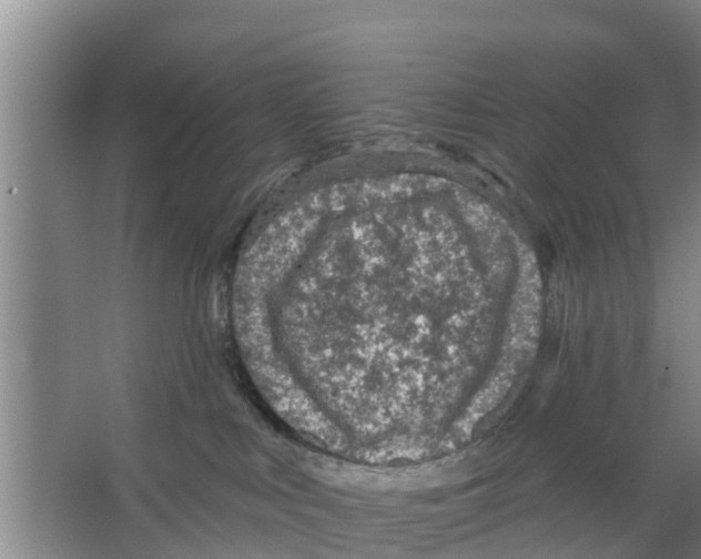 X0000066530043200604141851