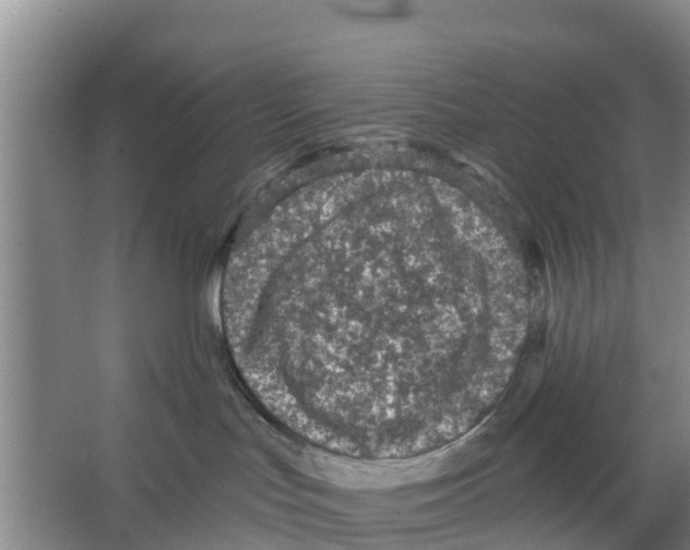 X0000066530047200604141851